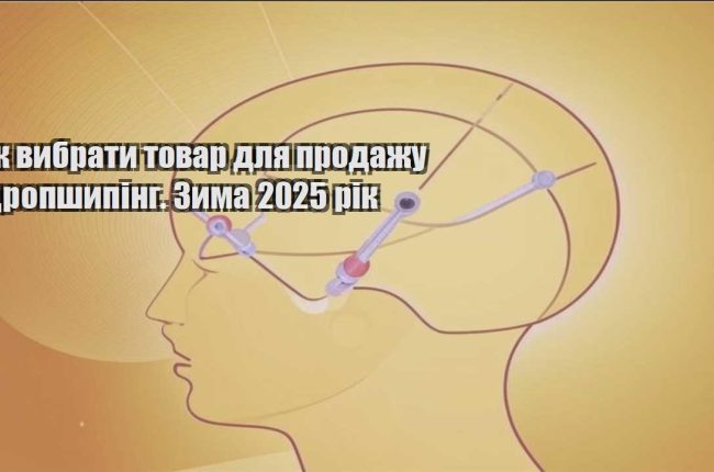 yak vybraty tovar dlya prodazhu dropshyping. zyma 2025 rik