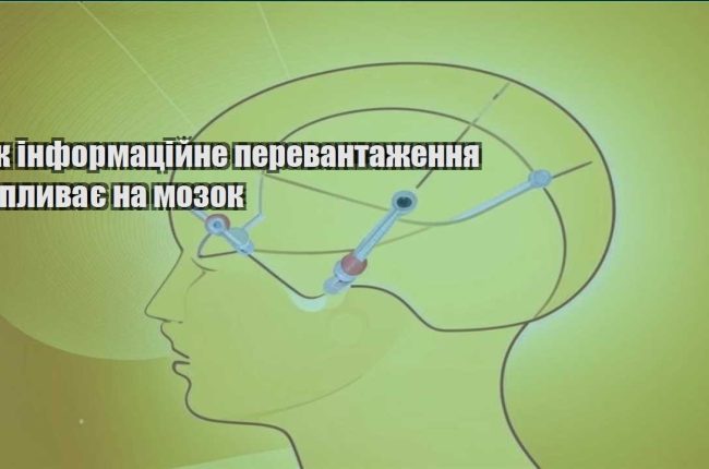 yak informaczijne perevantazhennya vplyvaye na mozok